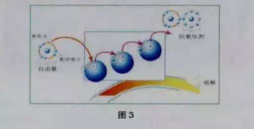空壓機油顏色變化